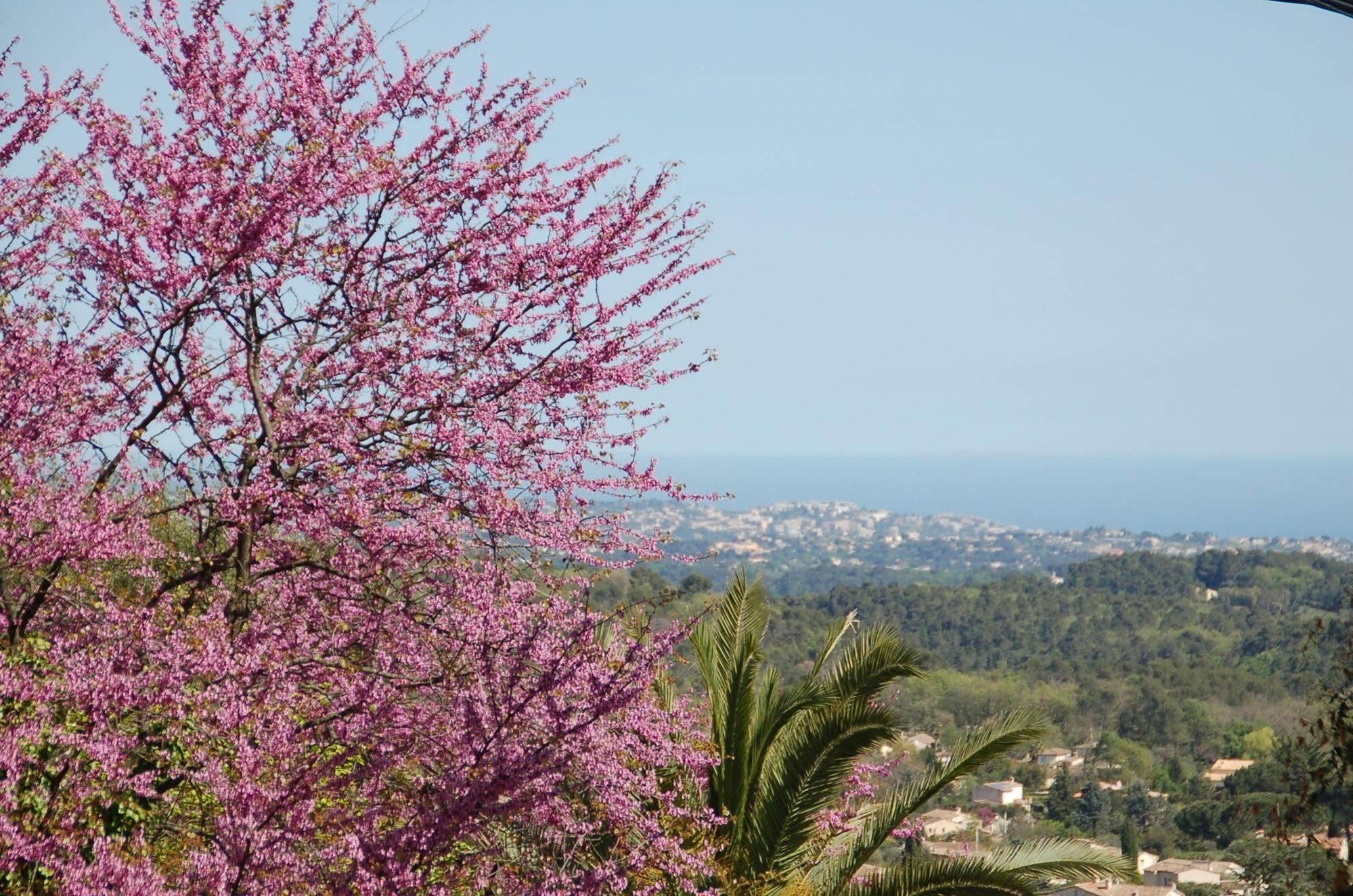 Le Mazet De Tourrettes Bed & Breakfast Dış mekan fotoğraf